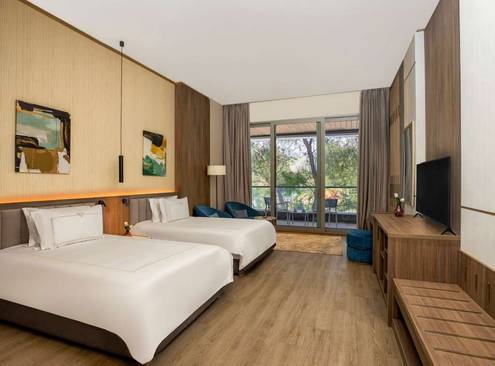 Deluxe Room Park View Twin Bed